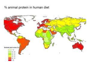 Fracción de proteínas animales en la ingesta total de proteínas (datos de GobalNEWS y FAOstat; Billen et al. 2013)